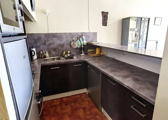 Apartman Spacieux T3 Au Centre Port, Avec Piscine, Cap D'agde - Fr-1-607-10